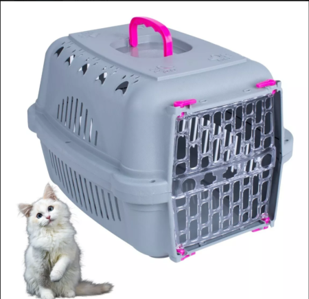 Trasporte cães Gatos 